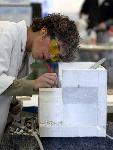 Berufsbilder -mit freundlicher Genehmigung von Skills Finland