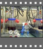 Berufsinfo-Video - Your job. Berufe im Bereich Biologie